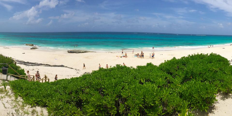 Abaco Nippers Abaco Nippers