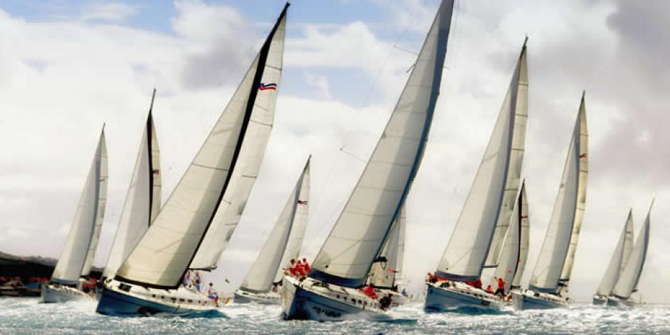 Sailboats sailing in a regatta