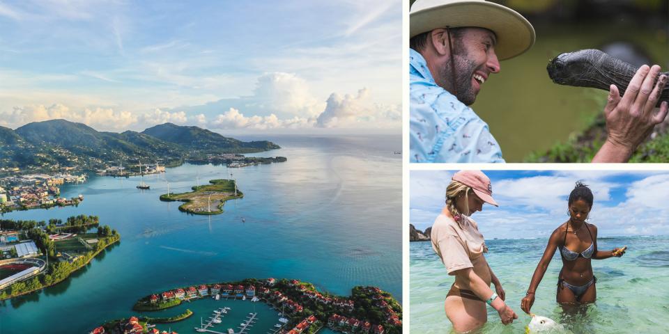 Amazing wildlife in the Seychelles Amazing wildlife in the Seychelles