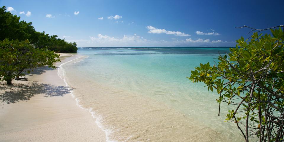 Antigua Yacht Charters Amp Sailing Vacations The Moorings