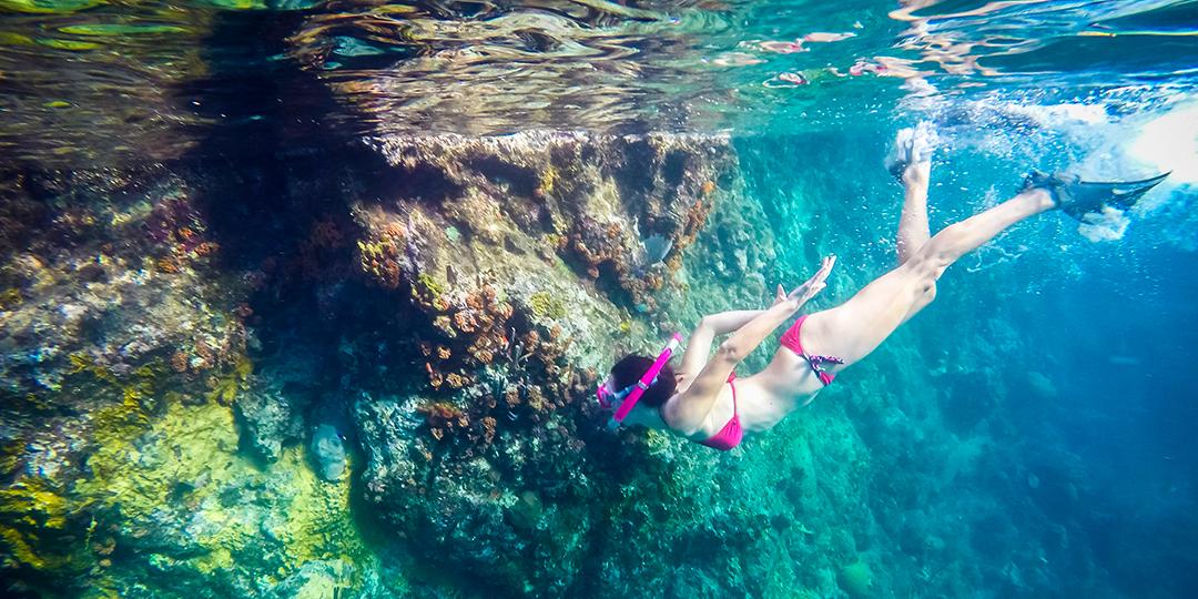 11 Best Snorkeling Spots In The Caribbean The Moorings