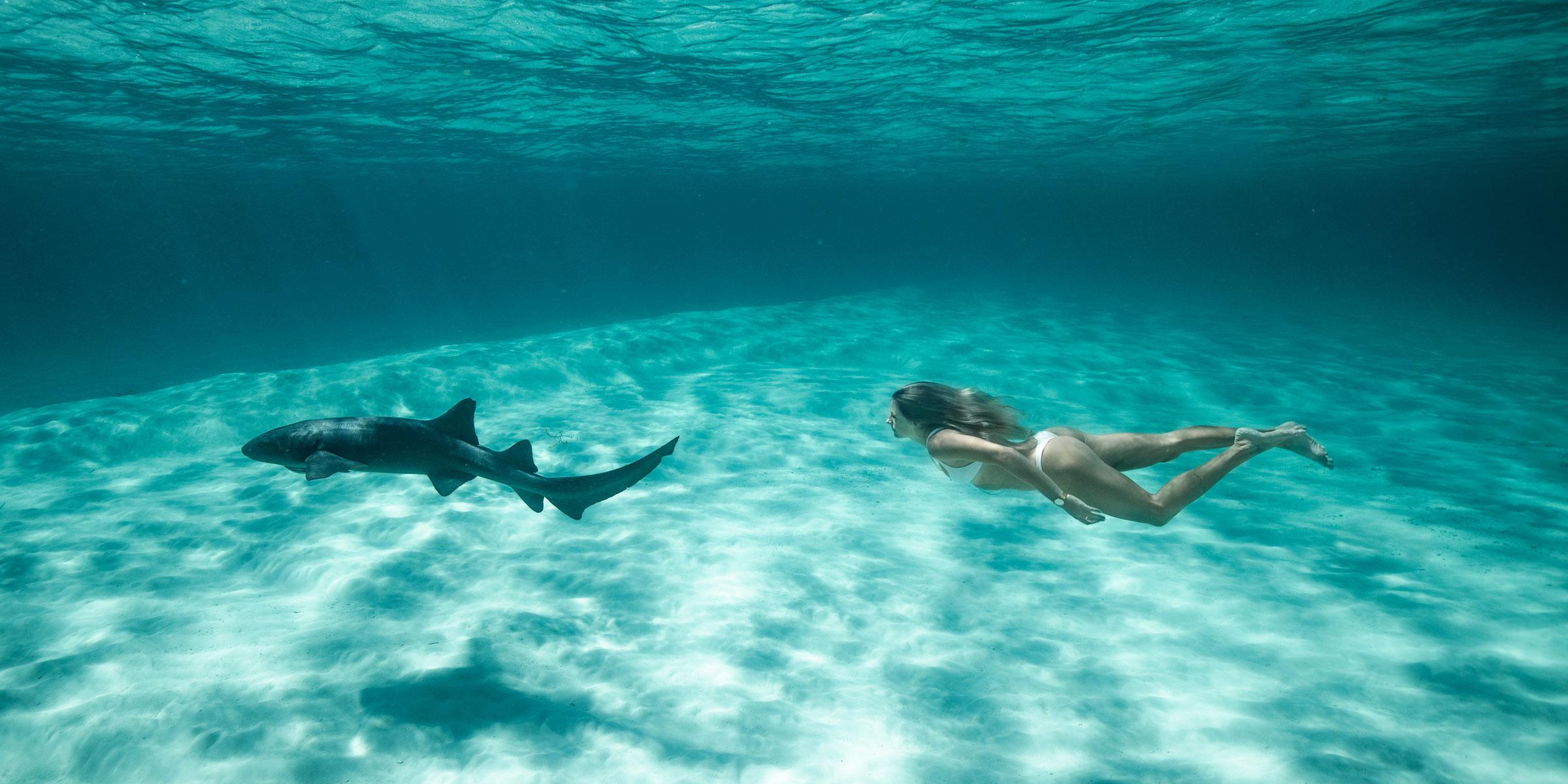 Swimming with nurse sharks in the Exumas, Bahamas